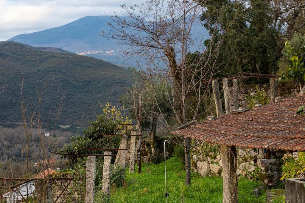 Holiday home Britelo 1828 - Refugio Na Natureza
